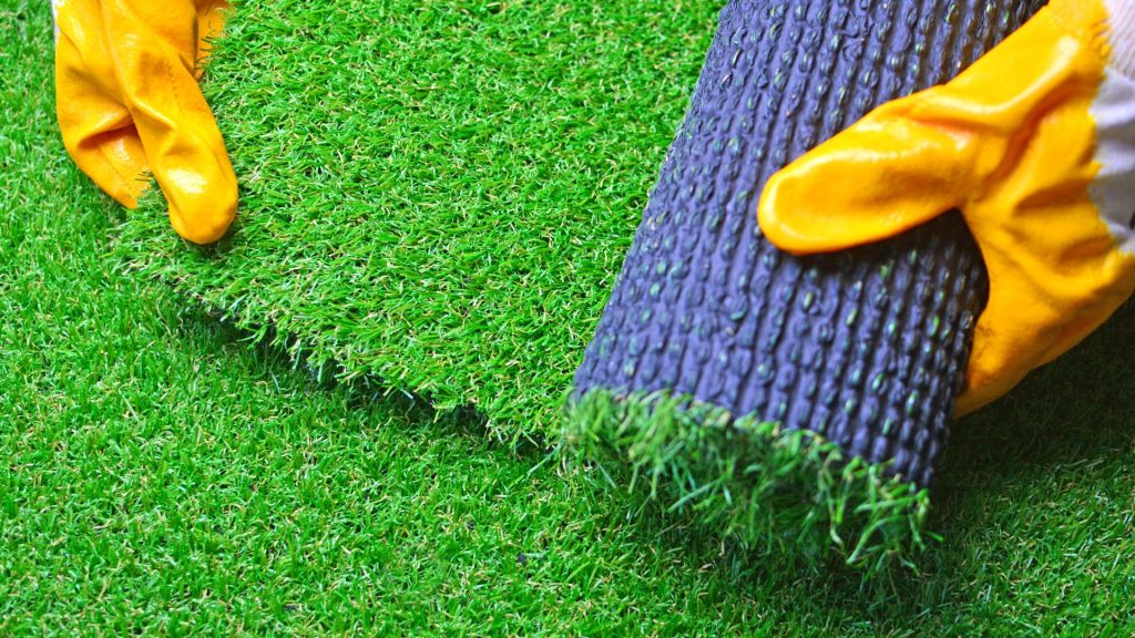 Green Legacy: How JG Lawns is Transforming San Diego One Yard at a Time 2 art 1